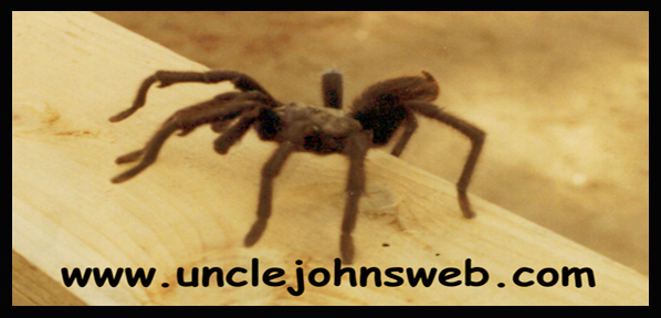 Unclejohnsweb.com
